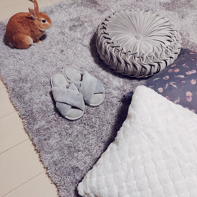 aikkoさんの実例写真