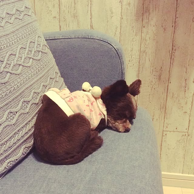 masakiさんの実例写真
