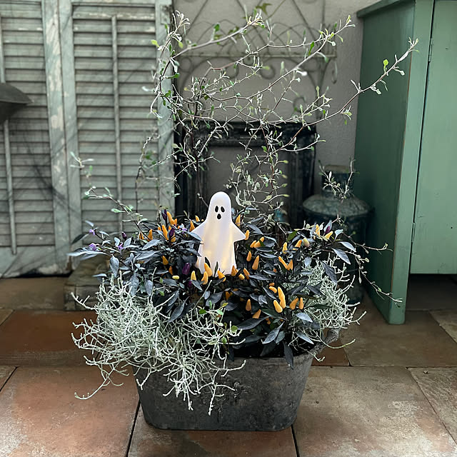 mamisazさんの部屋