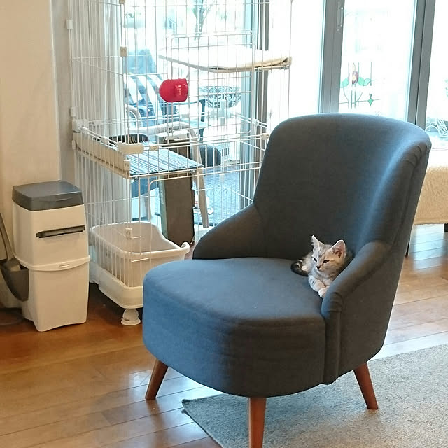 asmaさんの実例写真