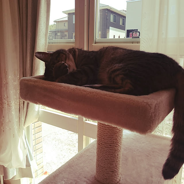 lilyさんの実例写真
