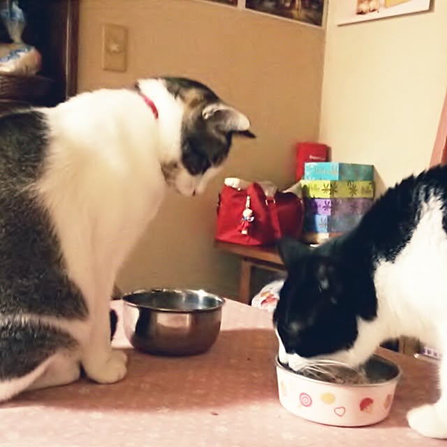 tomopさんの実例写真