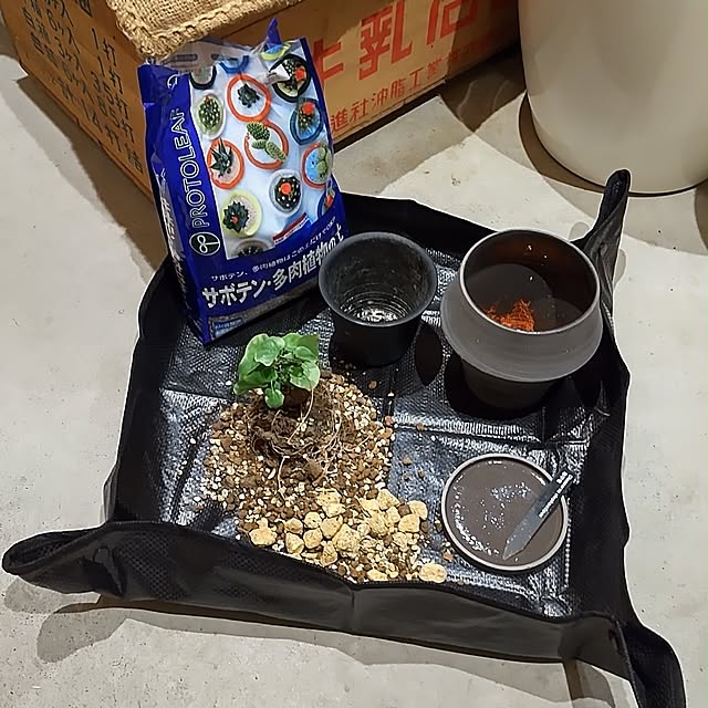 t.yumiさんの部屋