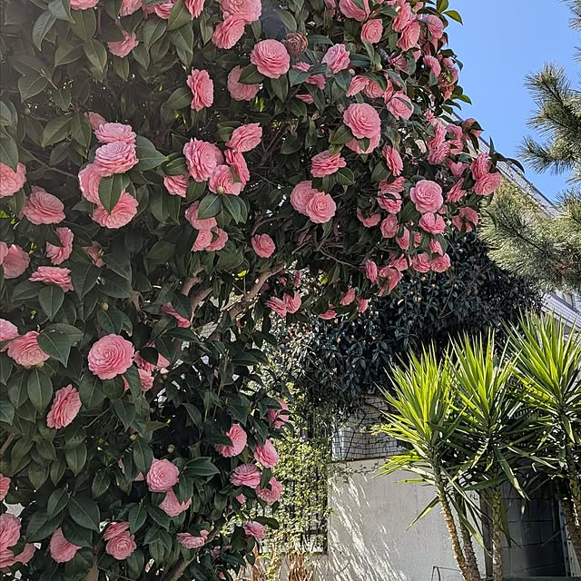 Mayumi8888さんの部屋