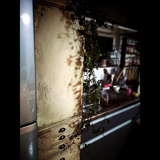 remiさんの実例写真