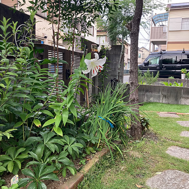 mamaさんの部屋