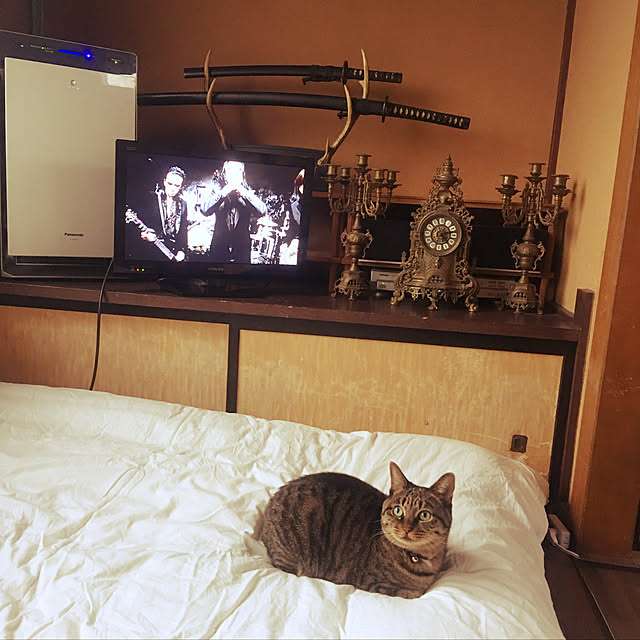 KINGさんの実例写真