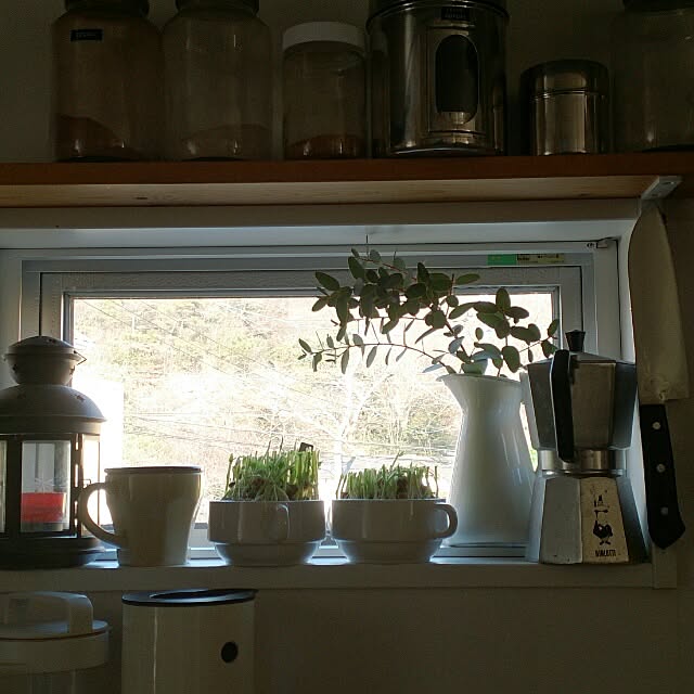 Qoocoさんの実例写真