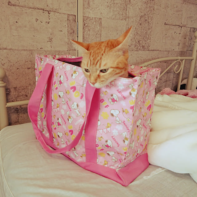 asuminさんの実例写真