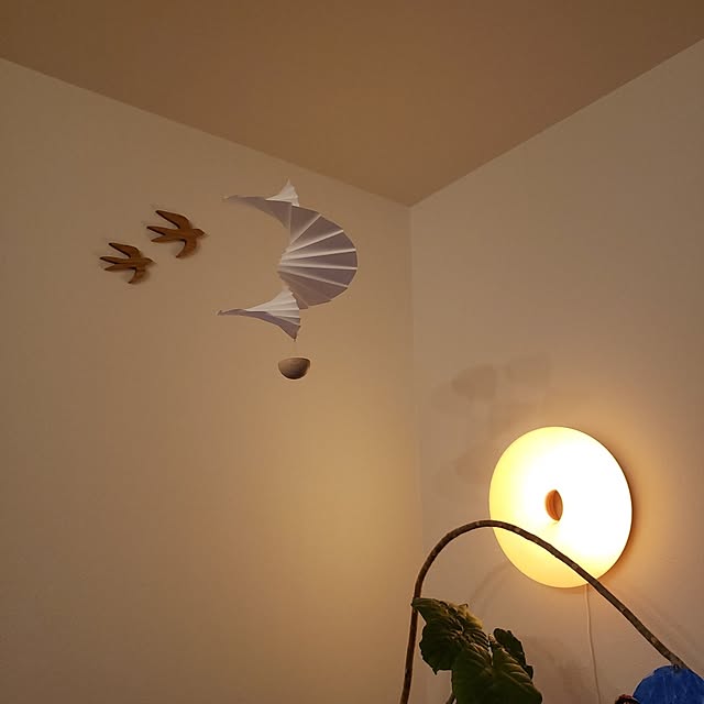 dropさんの実例写真