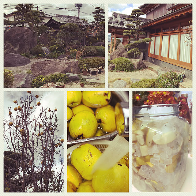 kimuraruさんの実例写真