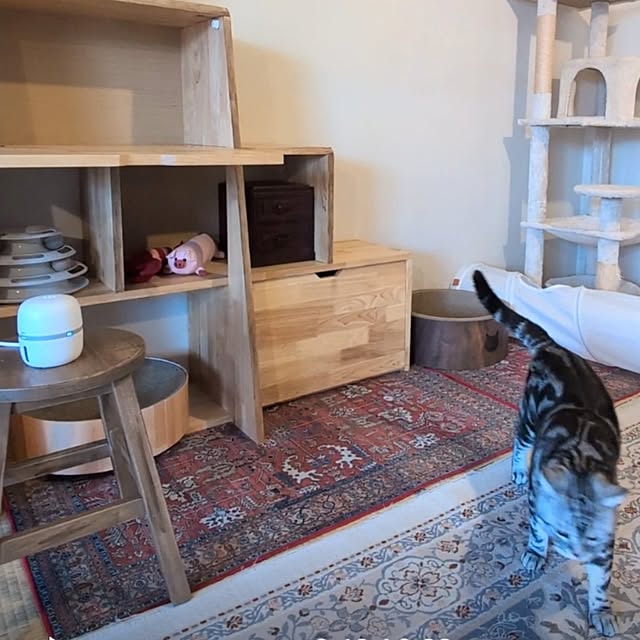 lovepeaceさんの部屋