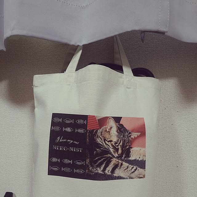noguriさんの部屋