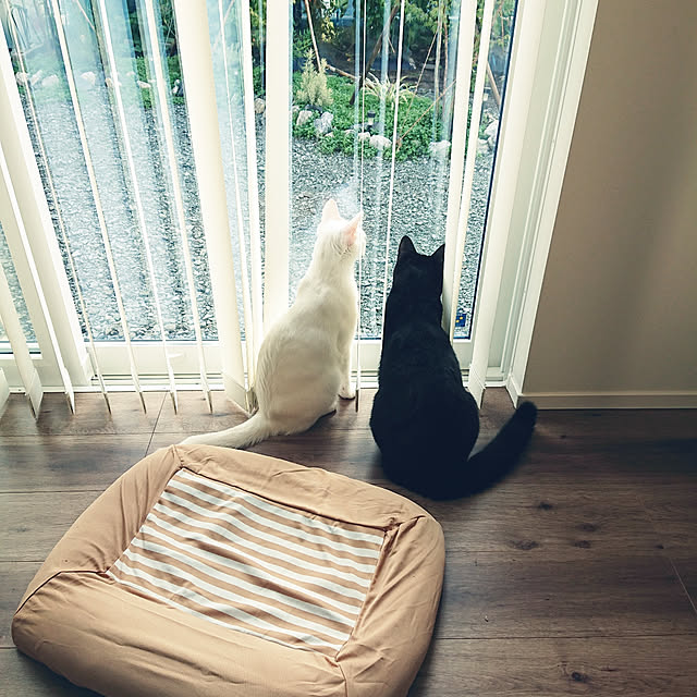 jijicoさんの実例写真