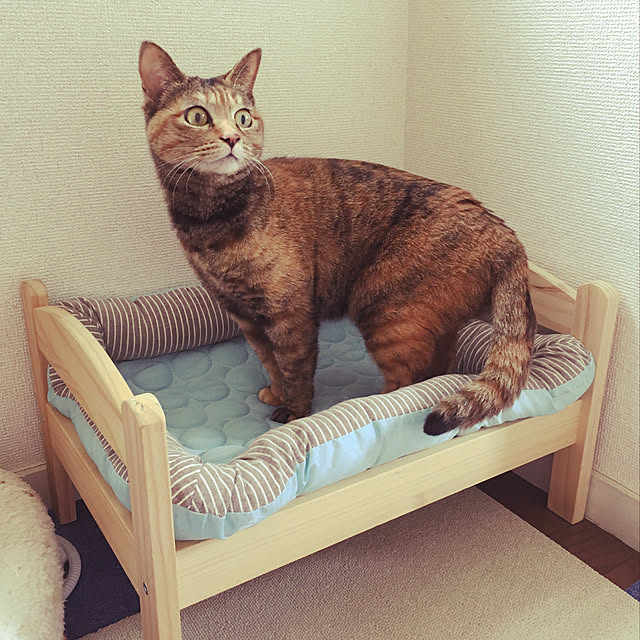 rinさんの実例写真