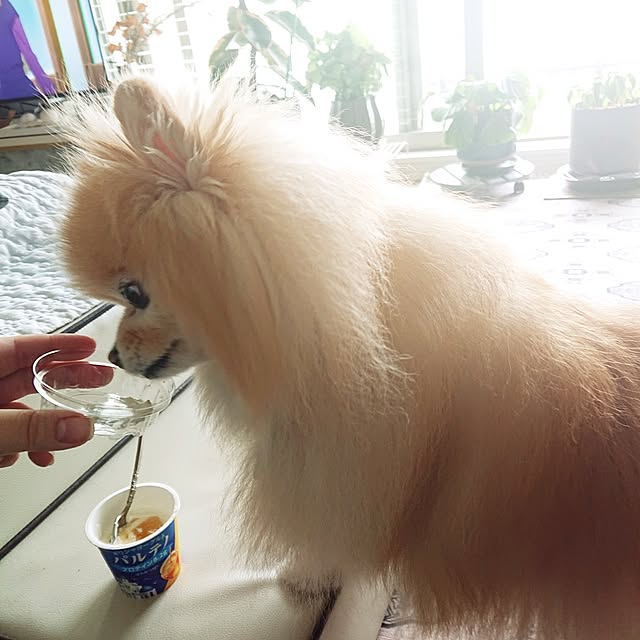maikeru.3384さんの実例写真