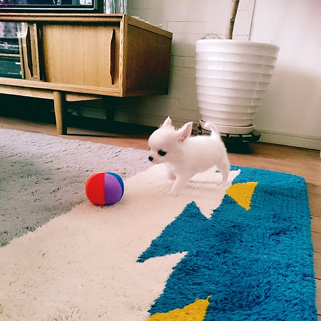 cherryさんの実例写真