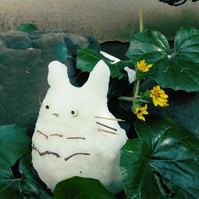 sugisakiさんの実例写真
