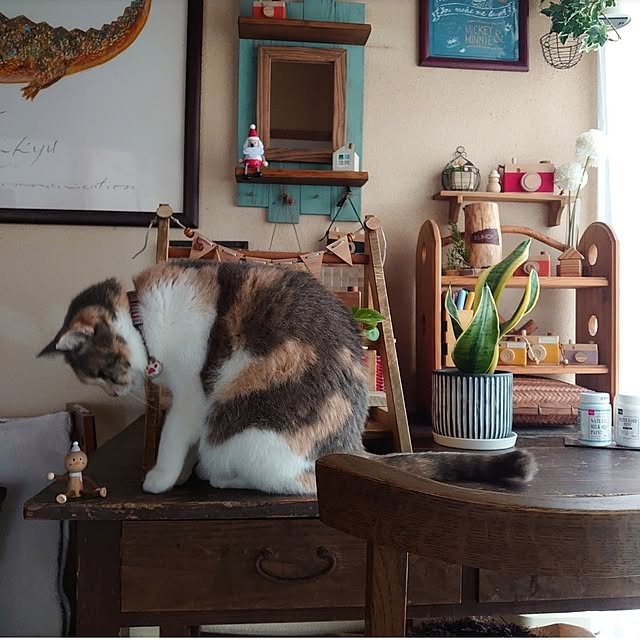 fukuさんの実例写真