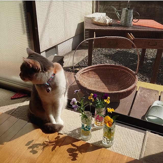 fukuさんの部屋