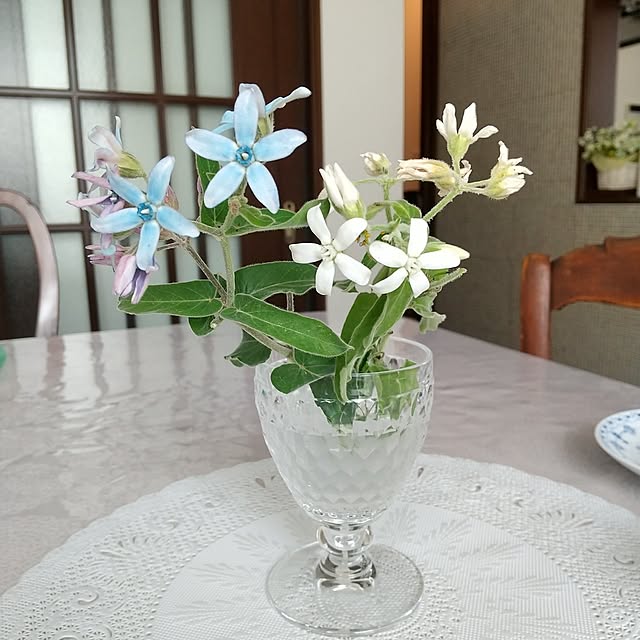 Rさんの実例写真