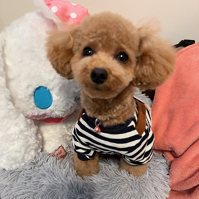 makiさんの実例写真