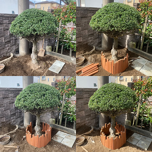 実例写真
