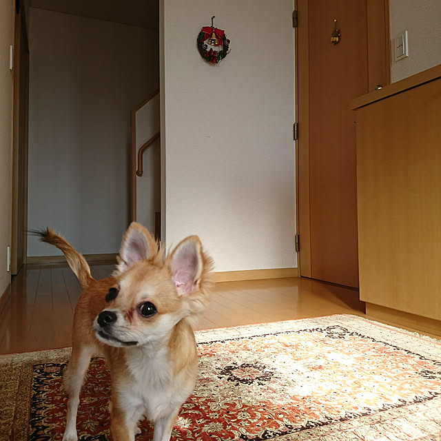 nattimomoさんの実例写真