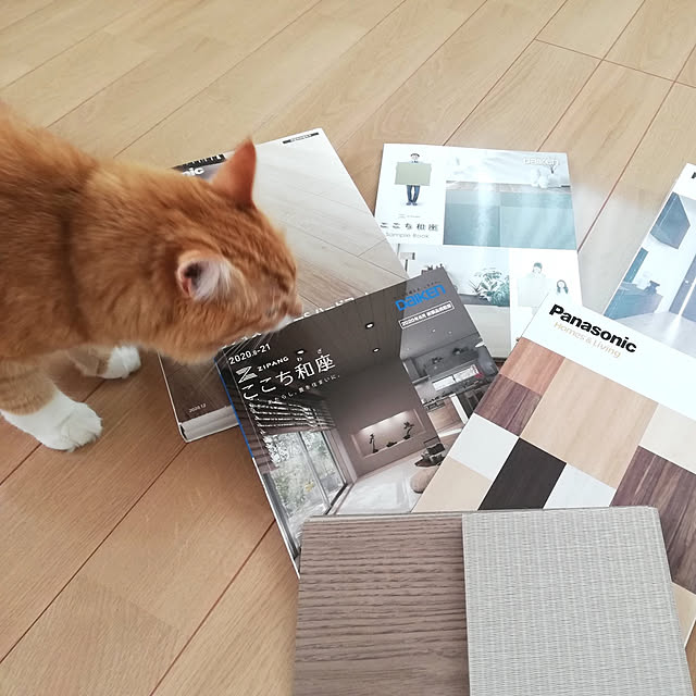 pinokoさんの実例写真