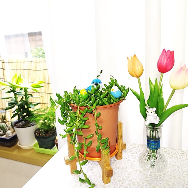 katさんの実例写真