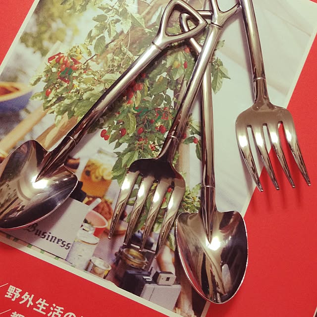 実例写真