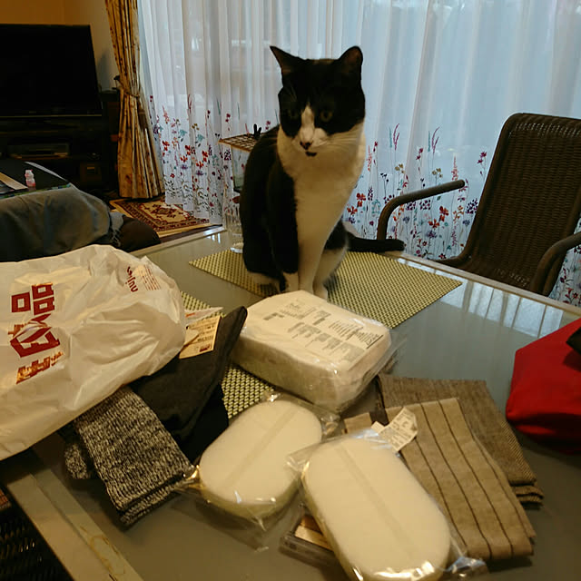 okyosan101さんの実例写真