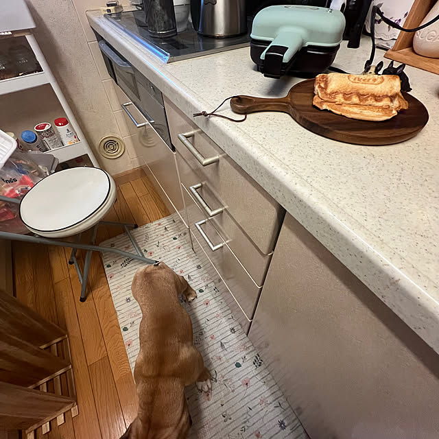 chi_gogaさんの部屋
