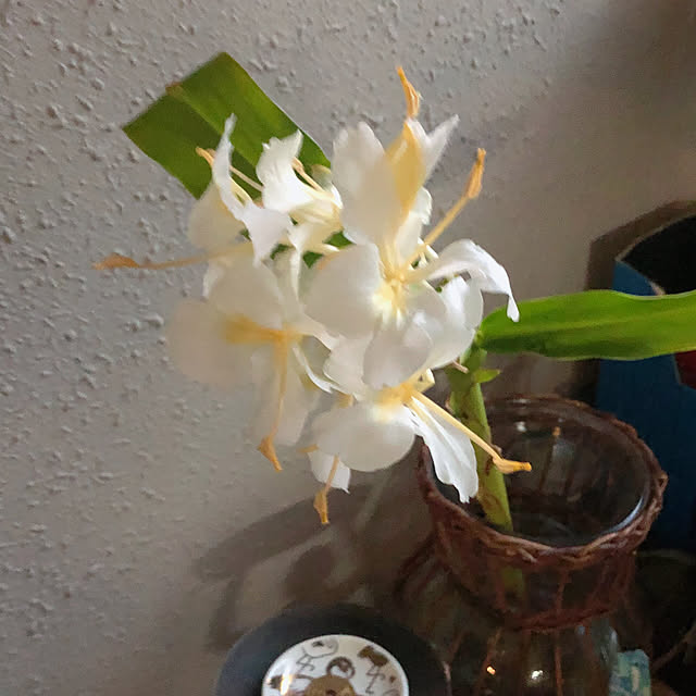 Malamaさんの部屋