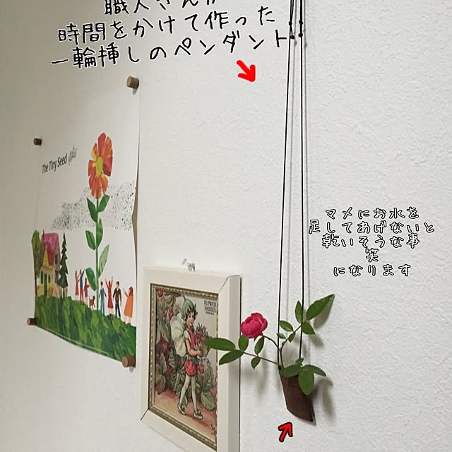 momijiさんの実例写真