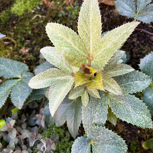 kyoko1124koさんの部屋