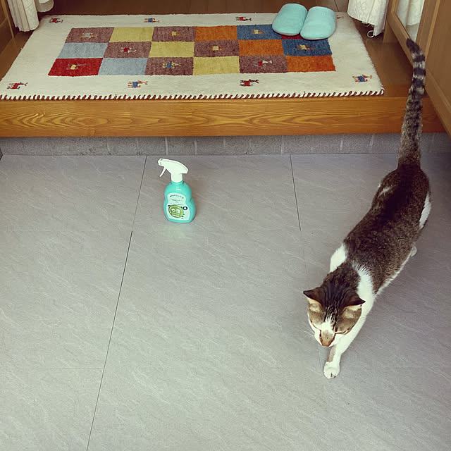 haruminさんの部屋