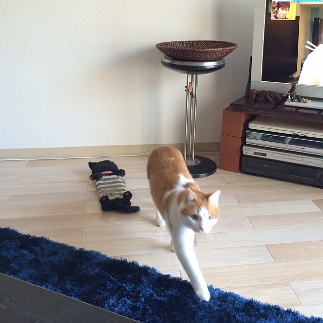 bobooooonさんの実例写真