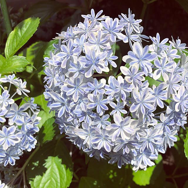 yuta___moriさんの実例写真