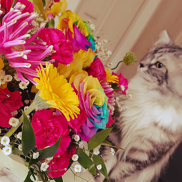 annetina374さんの実例写真