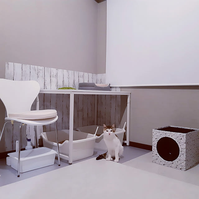 バス/トイレ/北欧インテリア/マンションインテリア/シンプルインテリア/ねこと暮らす...などのインテリア実例 - 2022-08-25 20:45:58