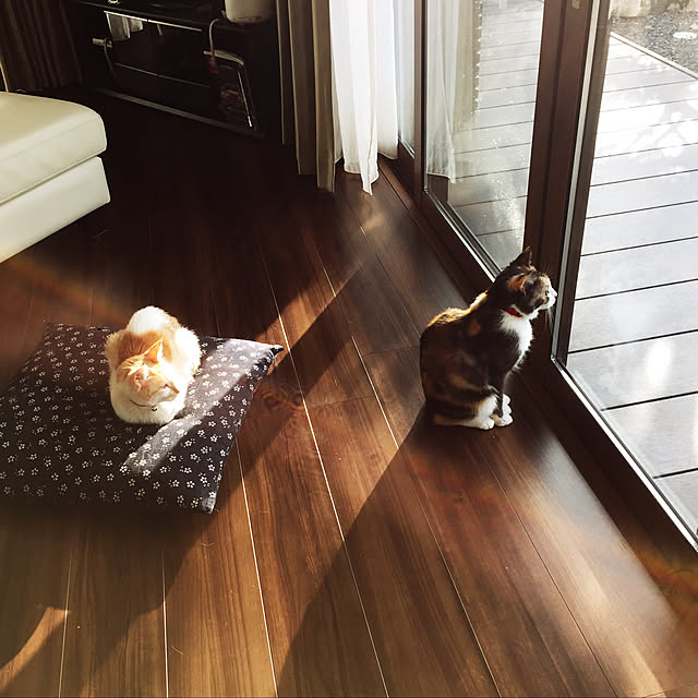 yokopiさんの実例写真