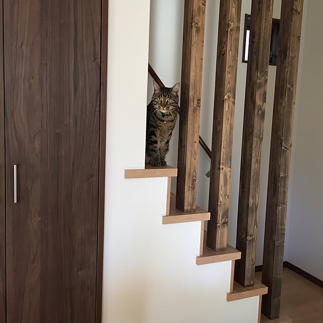 nyanpyouさんの実例写真