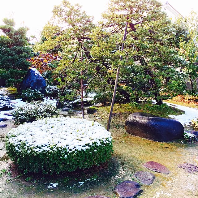 1616roomさんの実例写真