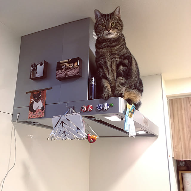 mikomaruさんの実例写真