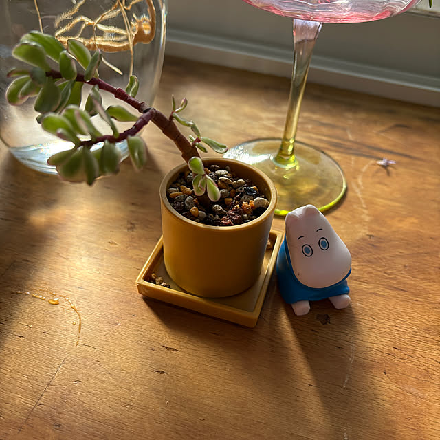 pandasさんの部屋