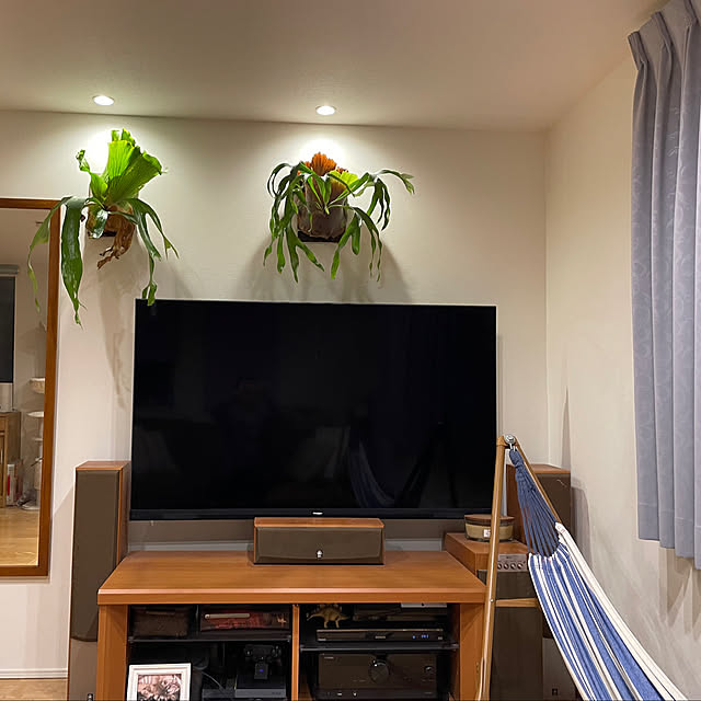 halさんの実例写真