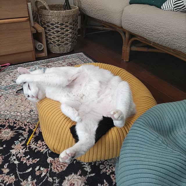 yuuさんの部屋