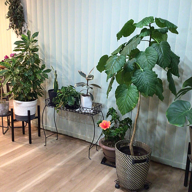 houenさんの実例写真