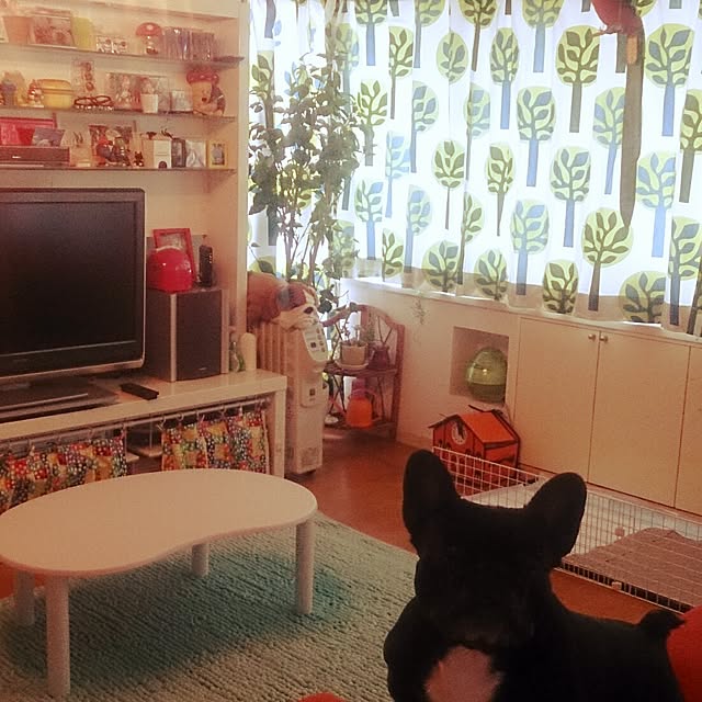 Mayumiさんの実例写真